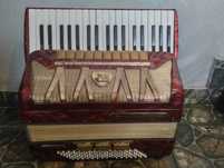 Akordeon Delicia Melodia VII 96 Basów