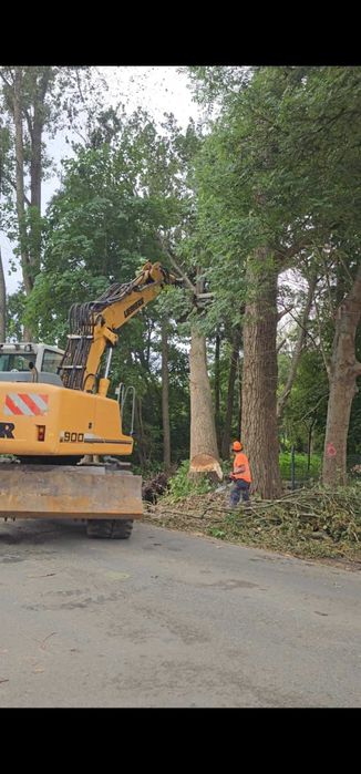 wycinka drzew odśnieżanie tereny zielone nasadzenia  wywrotka koparka