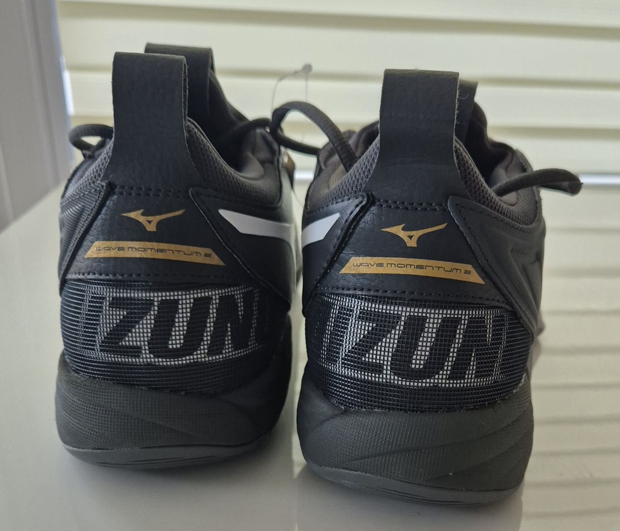 Mizuno Wave Momentum 2