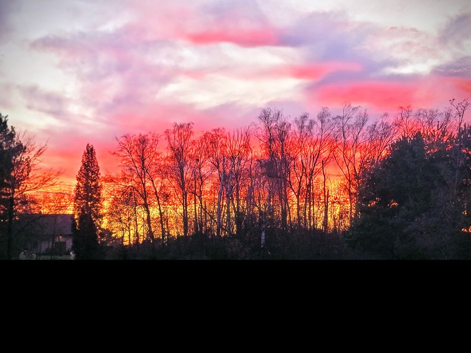 Geodezja geodeta mikolow, orzesze, wyry, łaziska, ornontowice