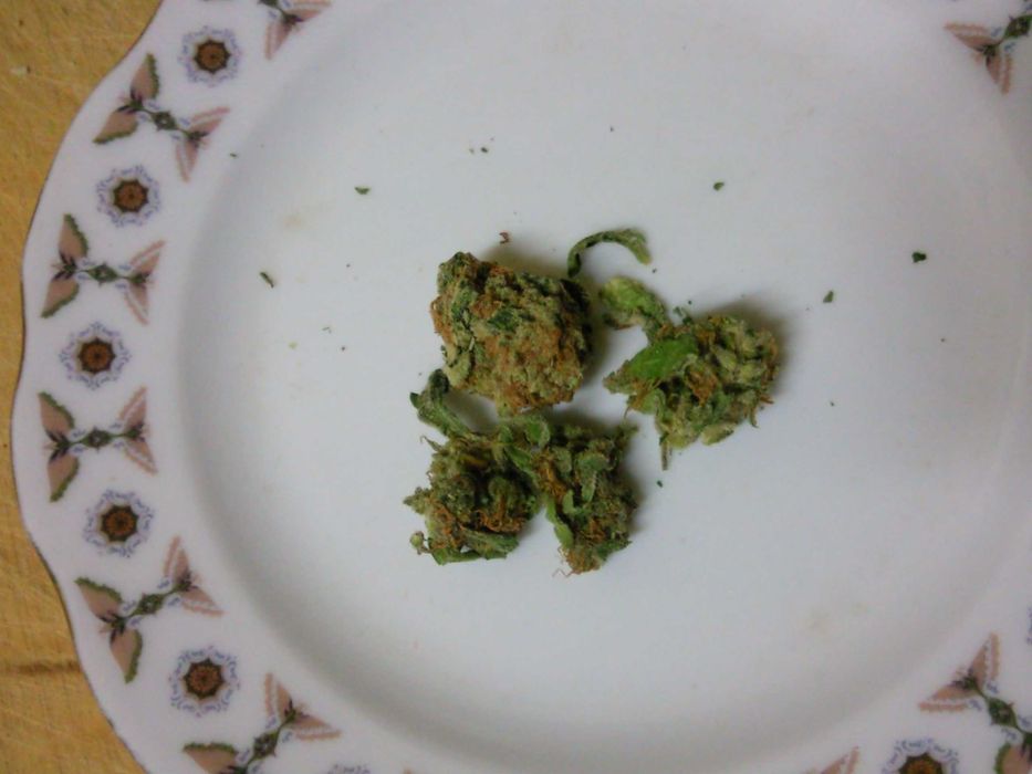 Susz Roślinny 10g Marihuana CBC CBL CBN CBG Cannabis Flos 10g MIX
