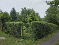 Ogródek działkowy w Gliwicach