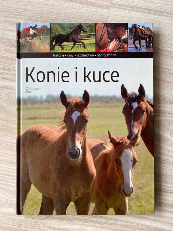 Poradnik jeździecki "Konie i kuce"