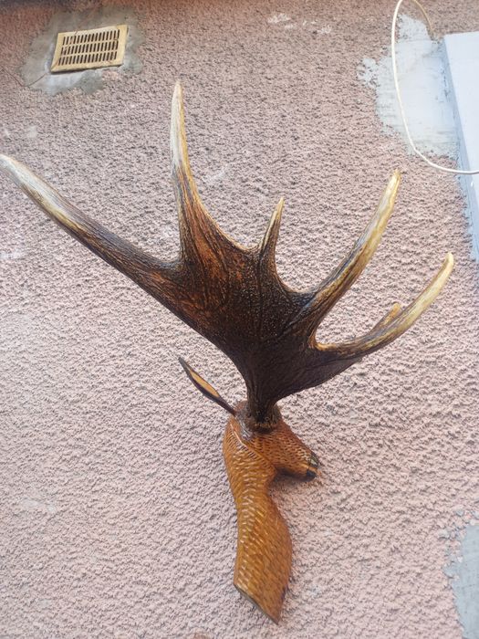 Ріг лося на підставці
