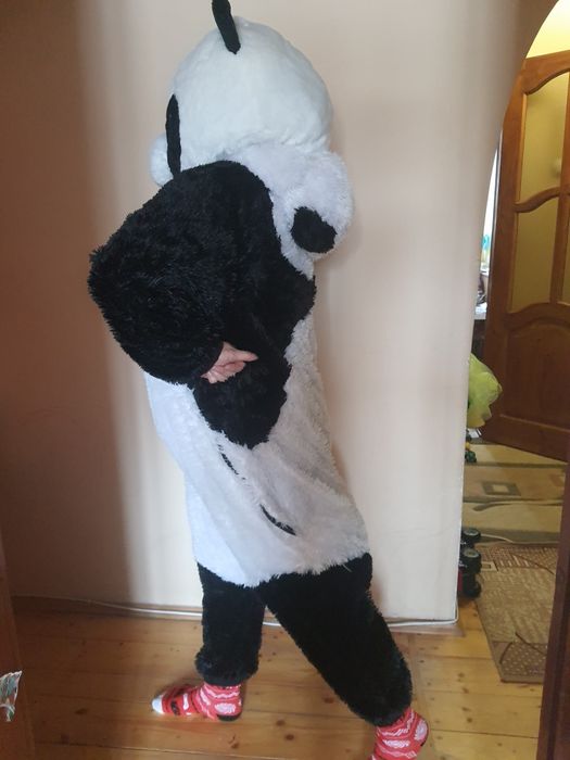 По зич аю костюм Панда.