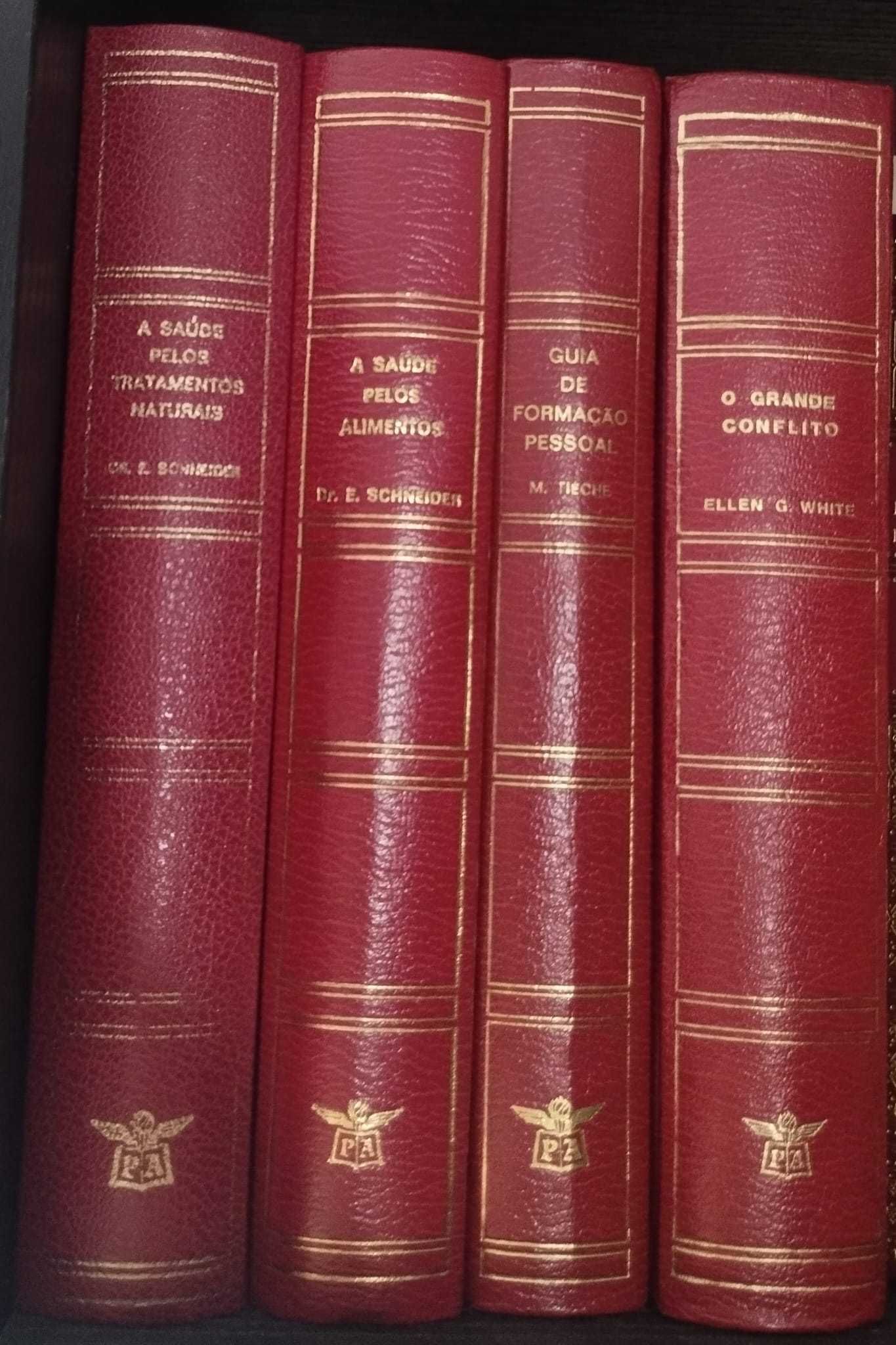 Mix de livros em capa dura