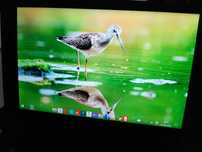 HP Stream 7  Windows 10 com teclado