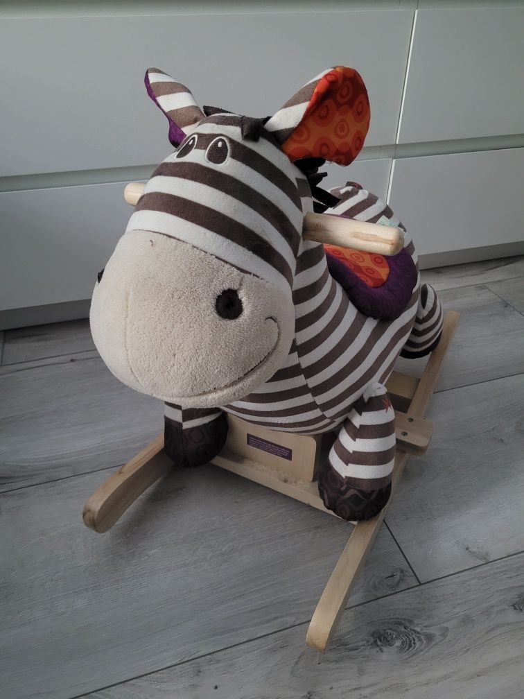 Bujak Zebra na biegunach