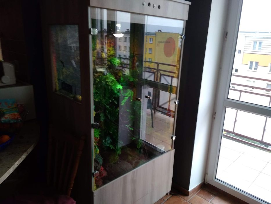 Sprzedam terrarium
