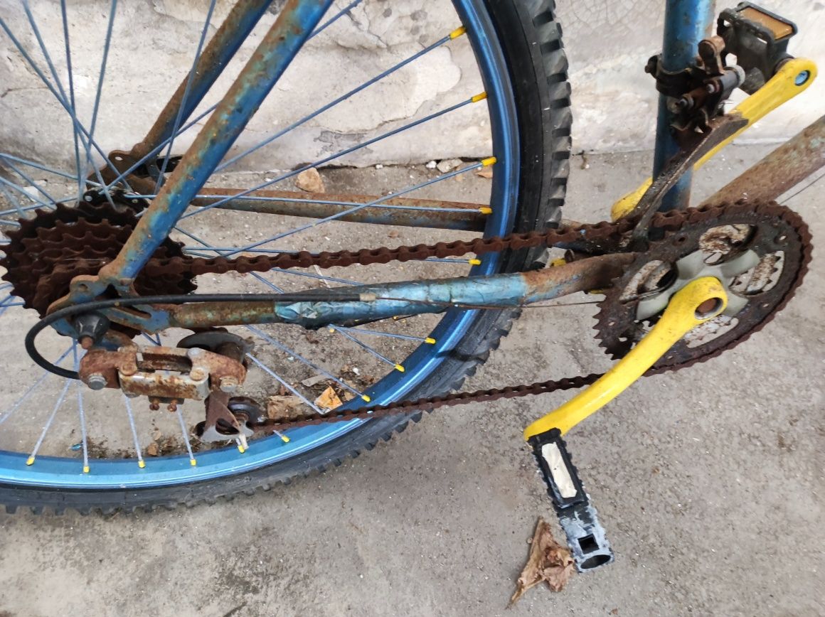 Bicicleta montanha ou cidade