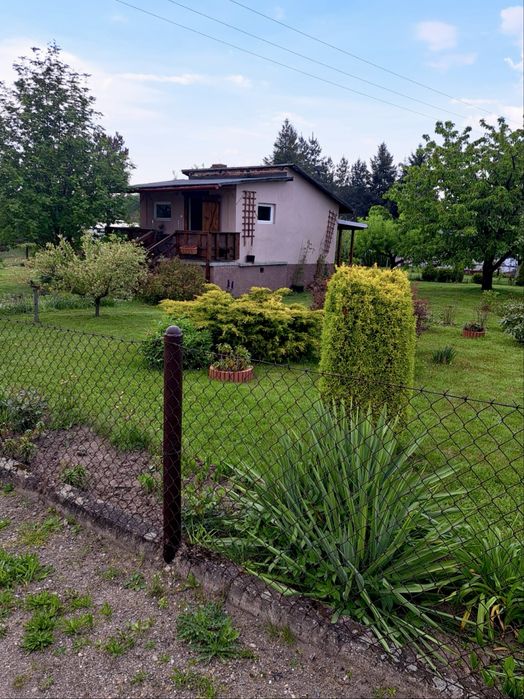 Ogróek działkowy z widokiem na Góry Złote - Złoty Stok - 750m2