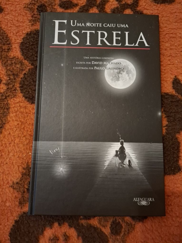 Uma noite caiu uma Estrela de David Machado