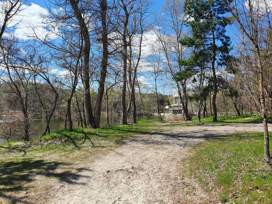 Земельный участок возле базы Соича в сосновом лесу на берегу