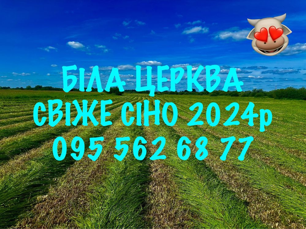 СІНО (Сено) Лугове в тюках. Біла Церква!