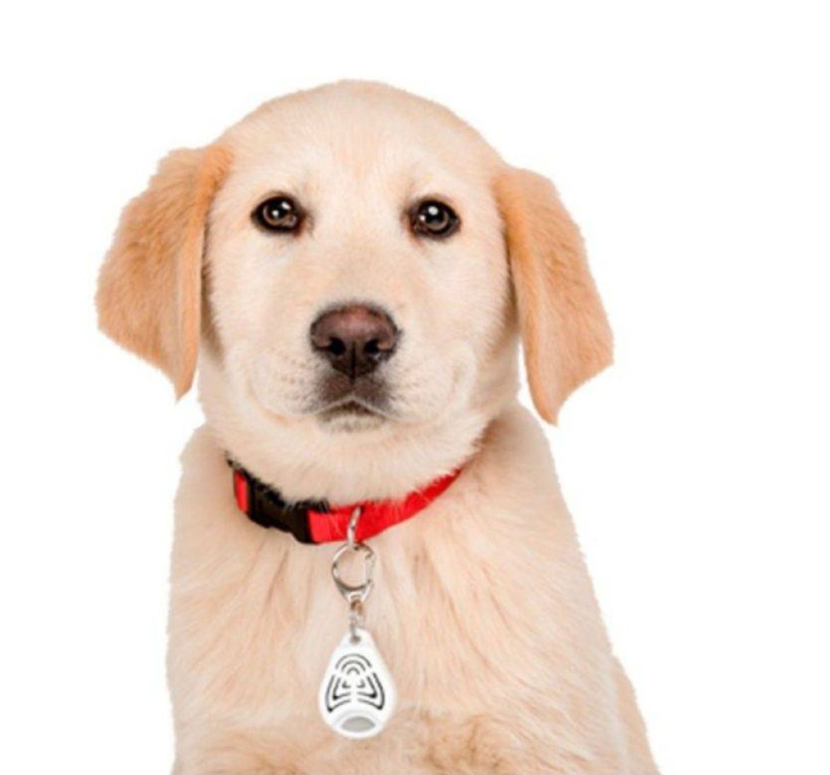 Collar (Коллар) ультразвуковой отпугиватель клещей и блох для собак