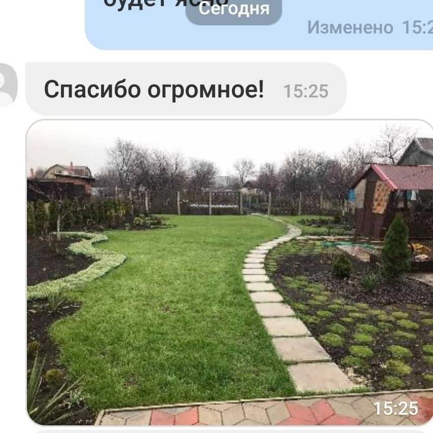 Газон трава Газонний комплекс/ микро клевер Конюшина Піполіна Рівендел