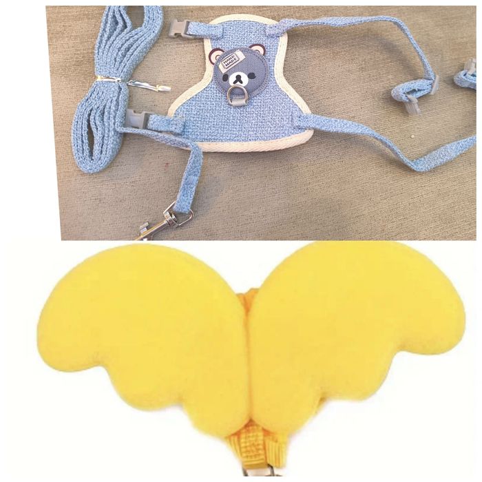 Поводок ошейник крылья крила