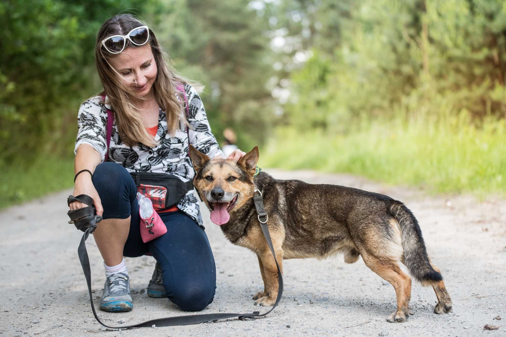 Zanzibar - cudny owczarek w ciele corgi