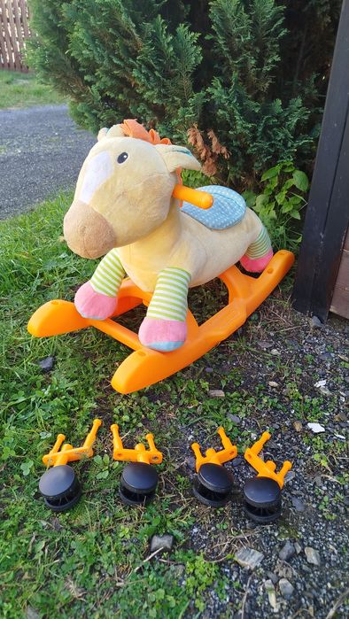 Konik bujak/jeździk