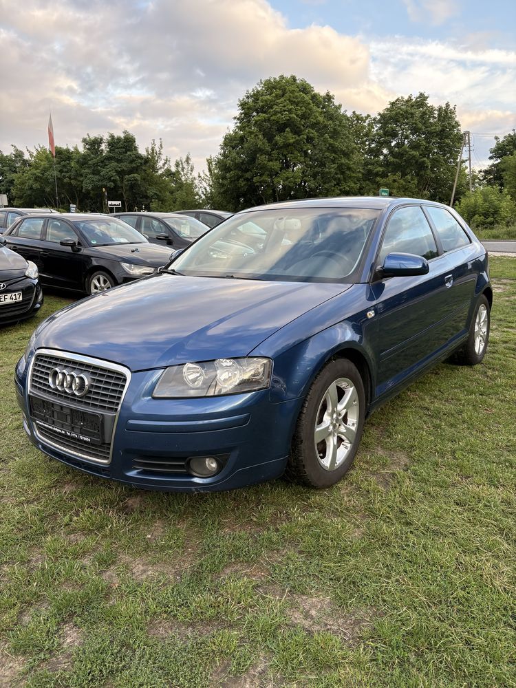 Audi A3 8P 1.6 MPI 2003 ROK Klima ! Polecam