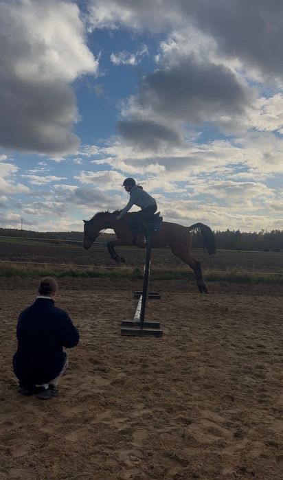 Wydzierżawię cudownego walaszka