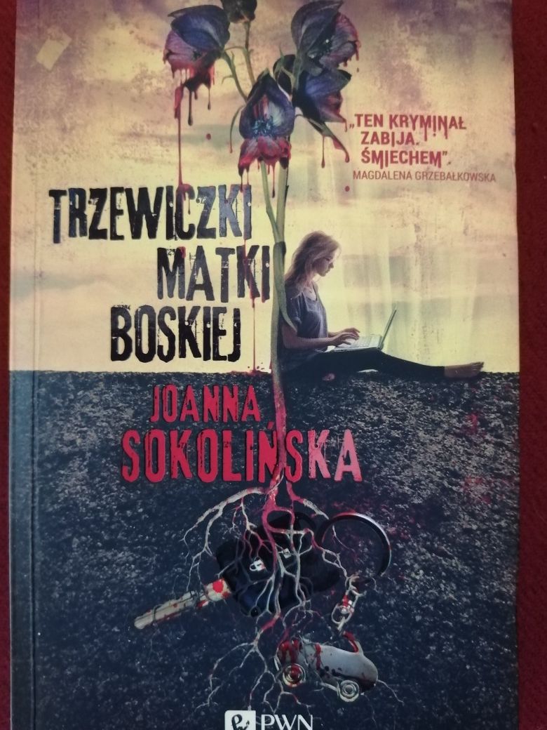 Trzewiczki Matki Boskiej Sokolińska Joanna