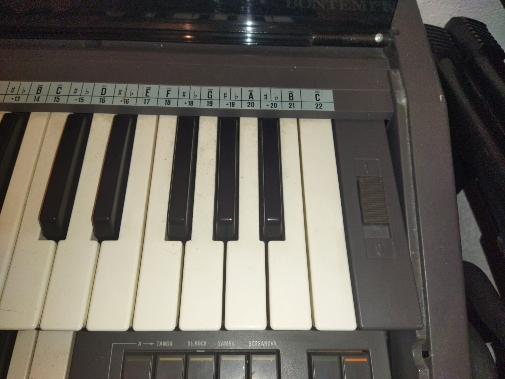 Piano Marca Bontempi