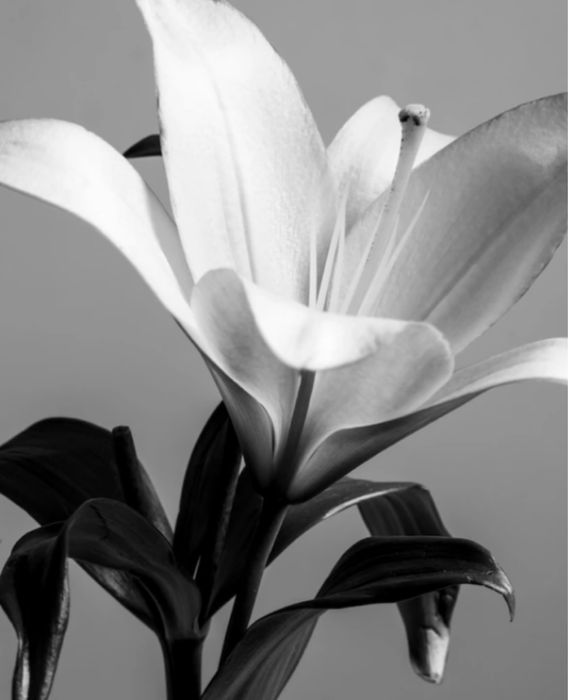 Массаж , Киев , Голосеевский .