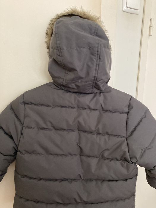 Quispe unix cinzento