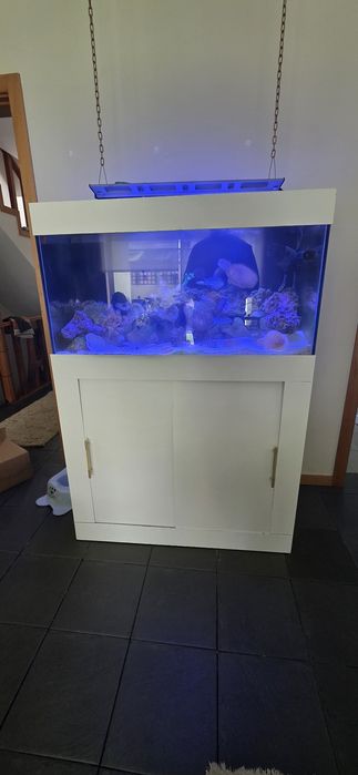 Aquário de água salgada Completo