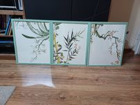 Ikea Bild kwiat kwitnący 40x50 plakaty
