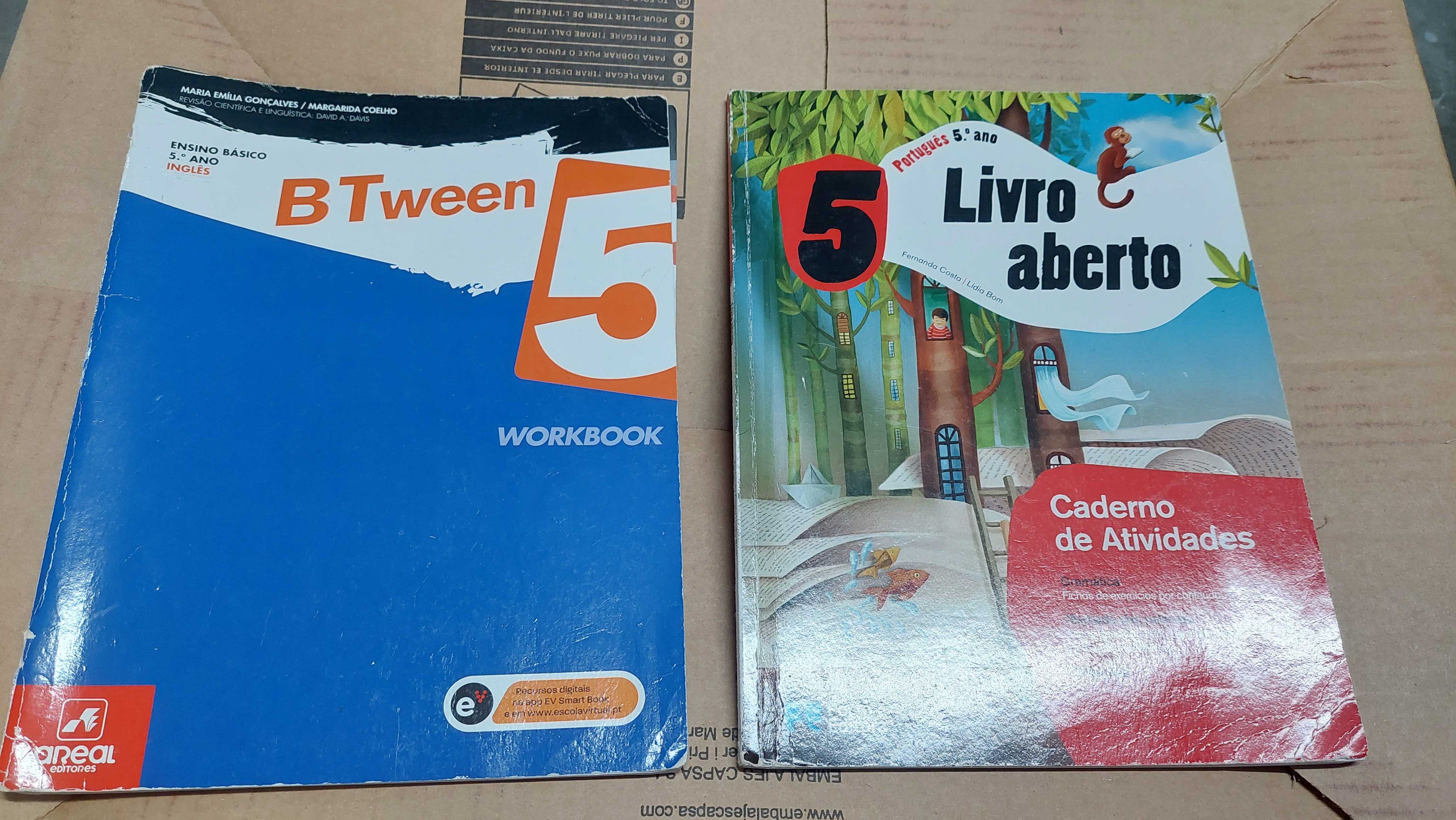 Cadernos de actividades 5° Ano (Fichas)