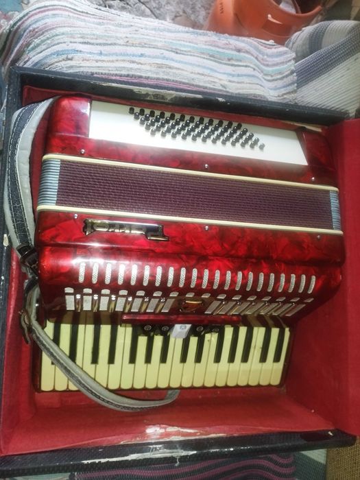 Acordeao parrot com caixa