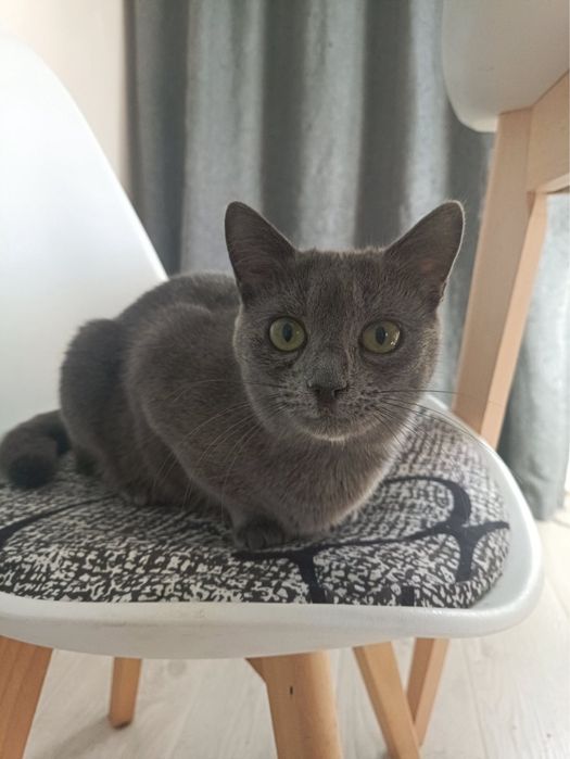 Луна,почти год.Нежнейшая