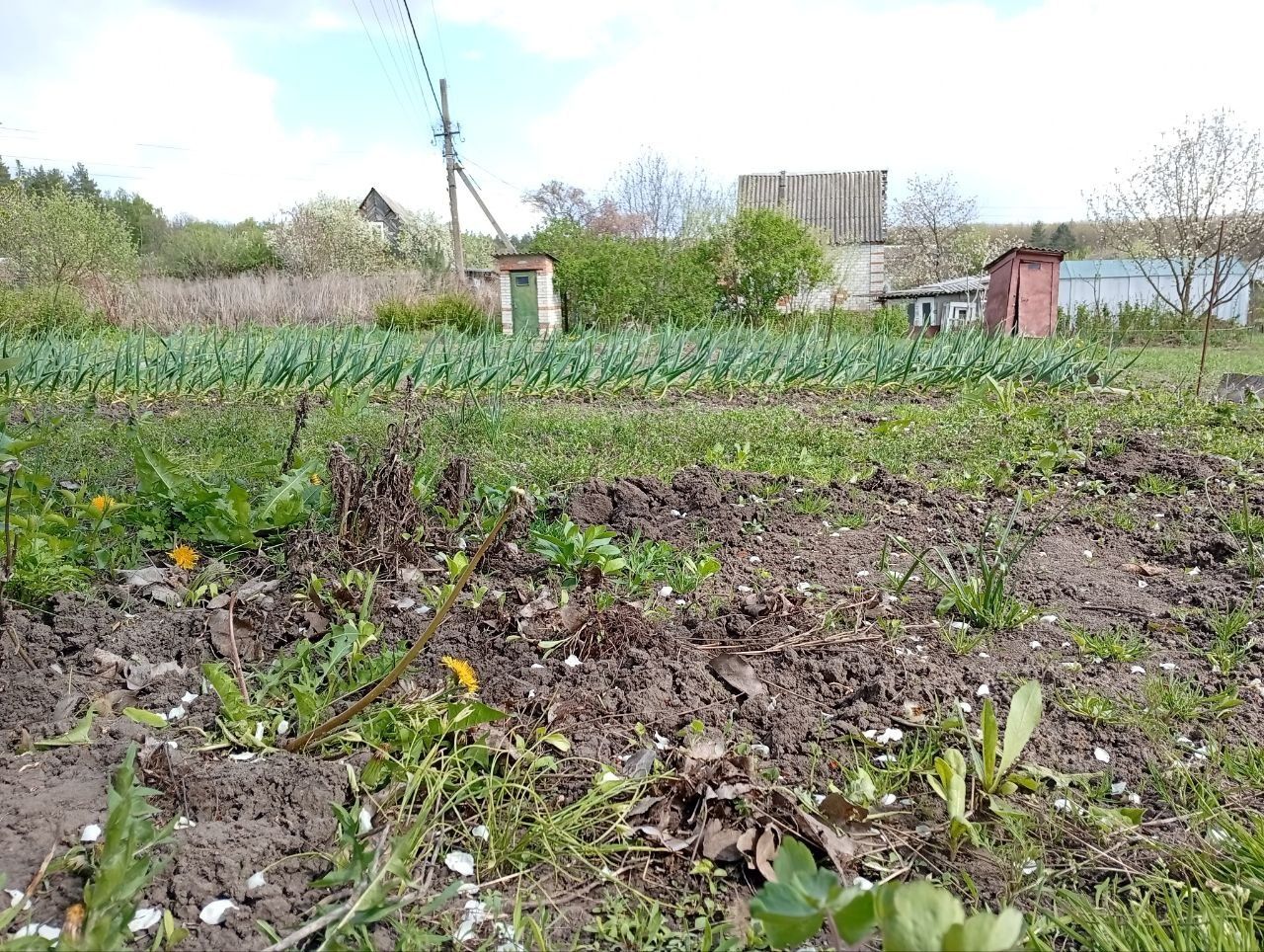 Продам дачу в Бездриыку