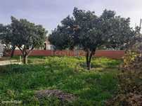 Lote de Terreno Urbano