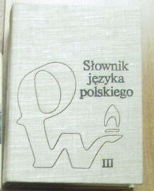 Słownik języka polskiego PWN - tom 3
