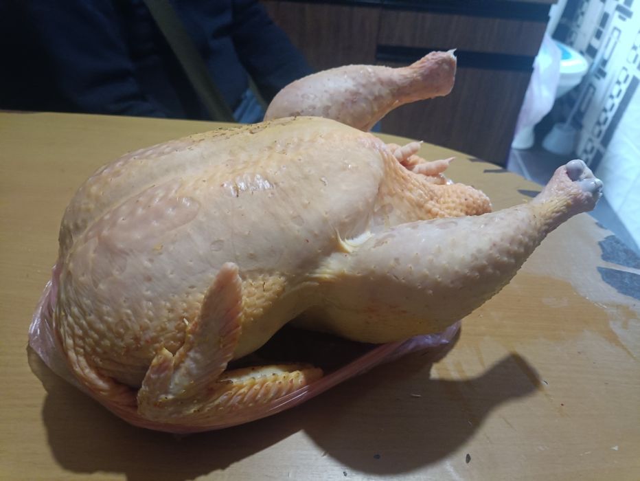 Домашний бройлер