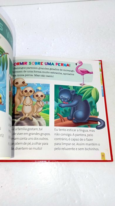 Kumbhira, A Crocodilo - Os maus animais do Zoo