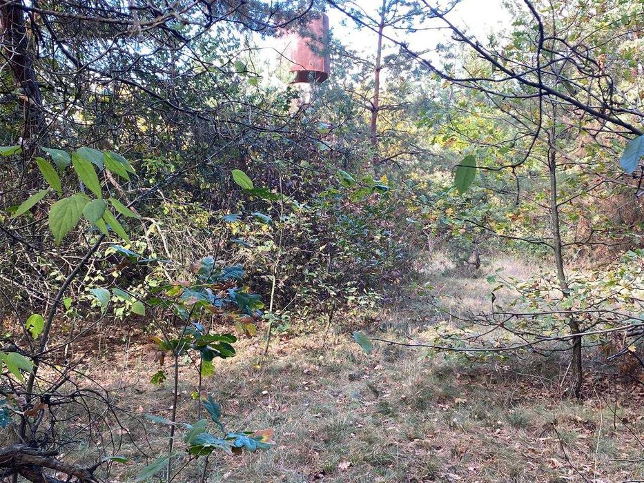 Продам ділянку мрії  біля соснового лісу в м.Гайворон!