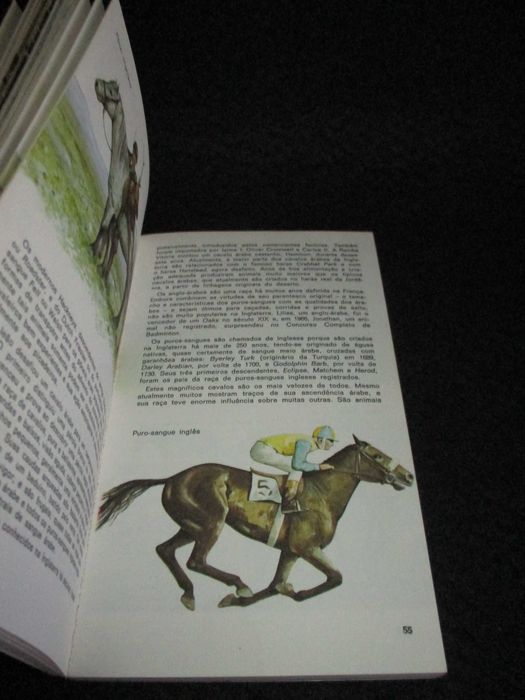 Livro Cavalos Judith Campbell Prisma