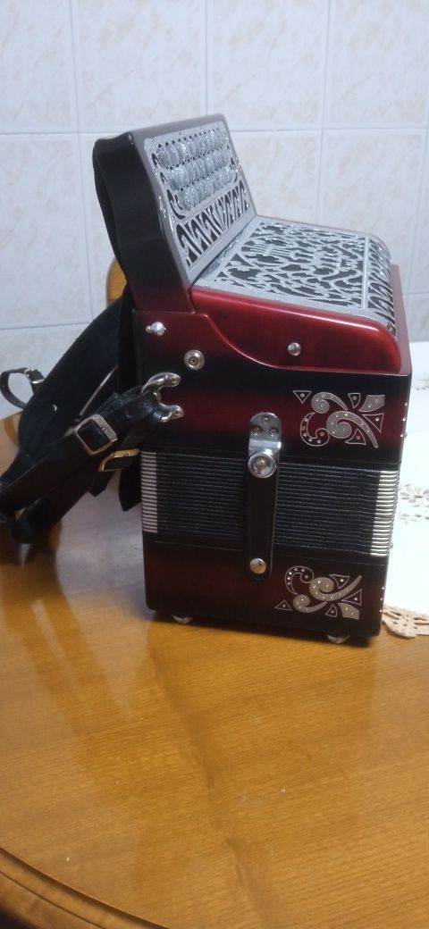 Concertina dino baffetti