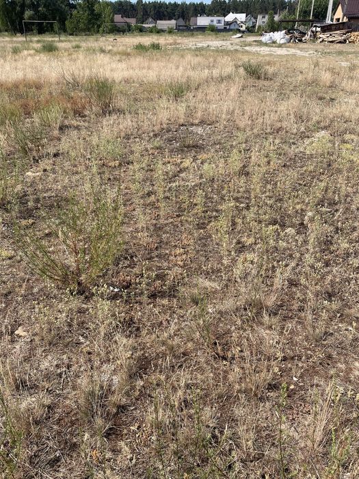 Продам участок 1км до курортного района Пуща Водица  рядом- лес,озеро!