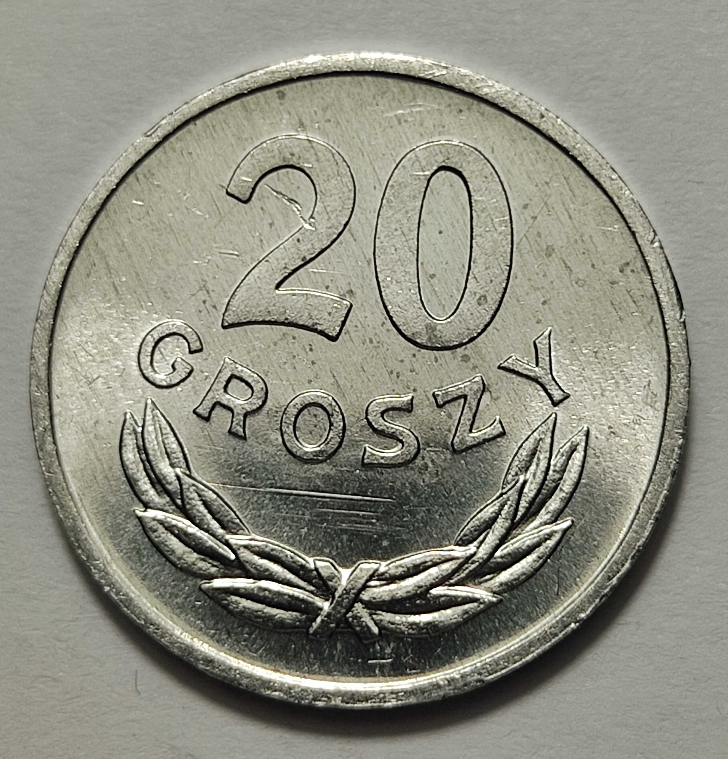 20 gr 1985 r., destrukt - "groszy" na trawce - C6