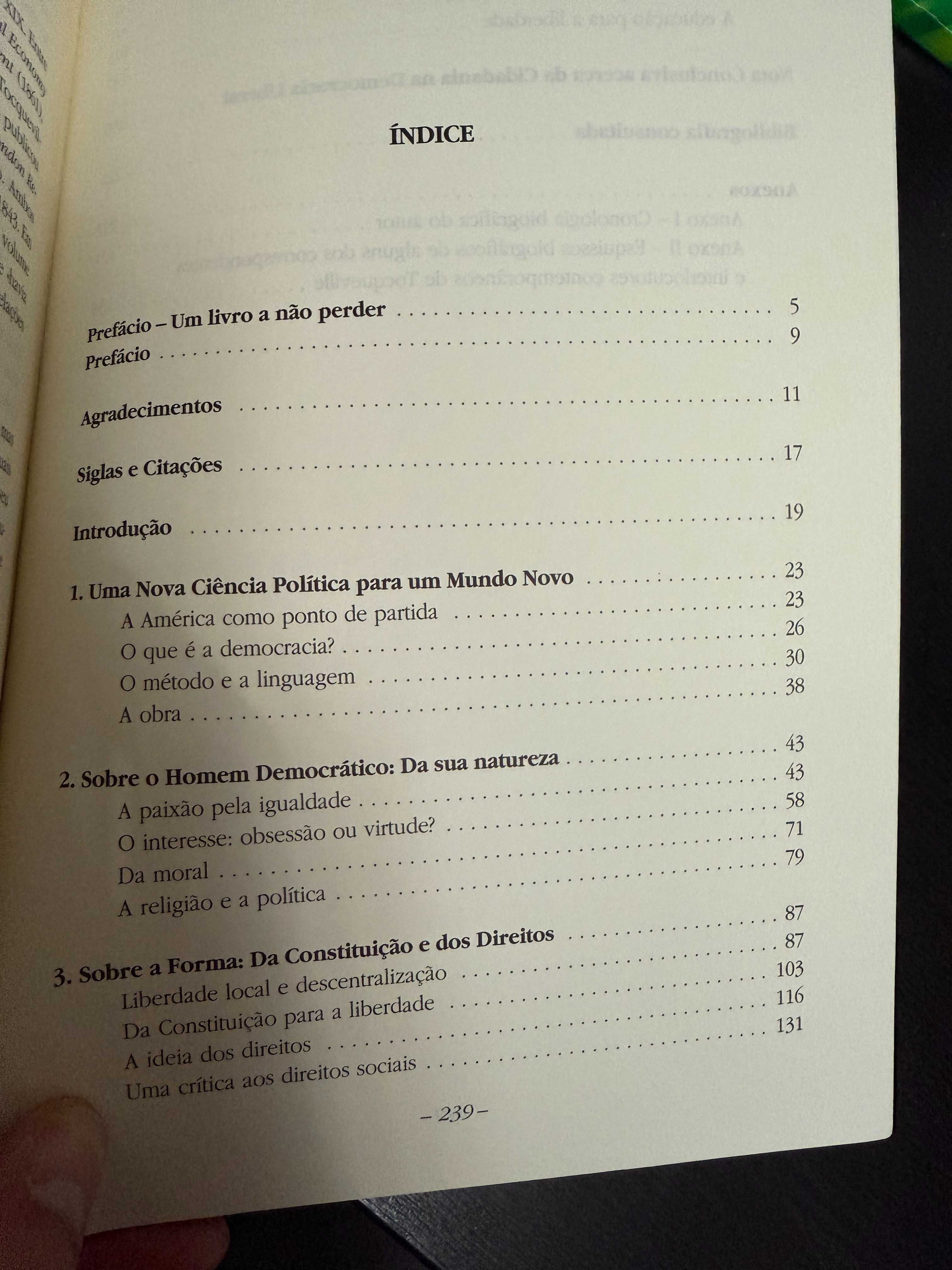Lívia Franco – Pensar A Democracia Com Tocqueville