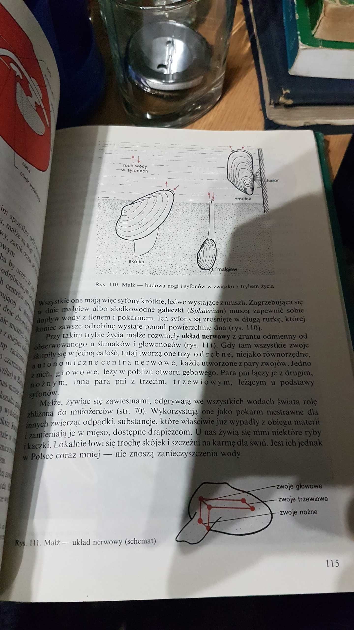 stary podręcznik do biologii 1992 rok