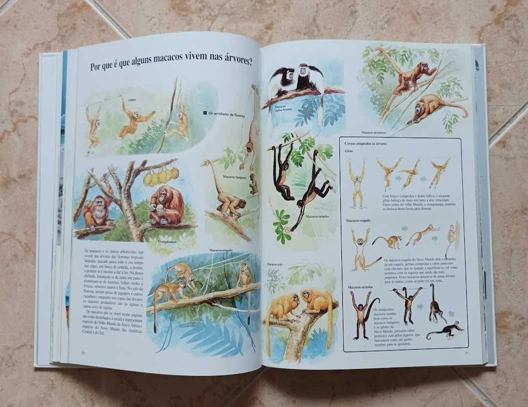 Livros sobre a Vida  Animal