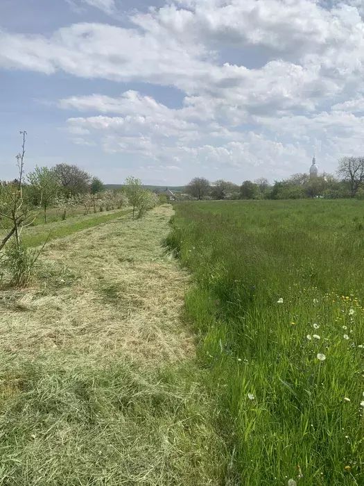 Продається земельна ділянка 25 сотин під будівництво.