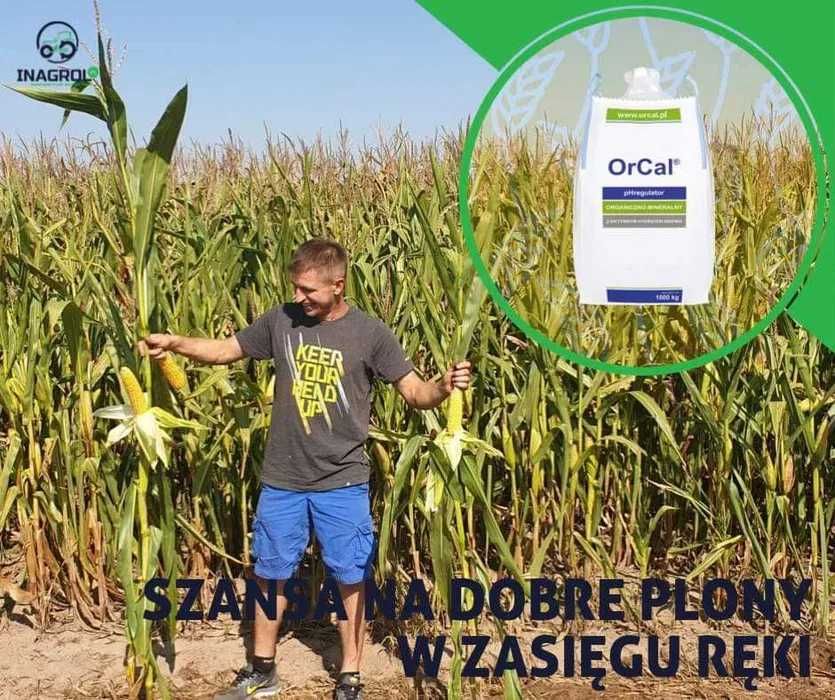 OrCal - producent, najwyższa jakość! BIGBAG/LUZ