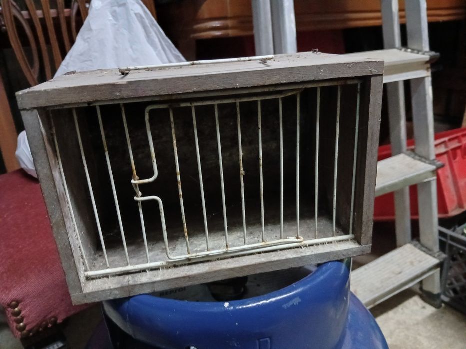 Gaiola e transportadoras e ninhos para pássaros